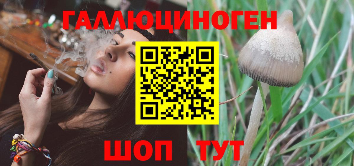 где можно купить   Вход с VPN  Полевской  Галлюциногенные грибы мицелий 